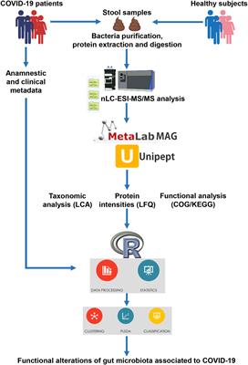 The metaproteome of the gut microbiota in pediatric patients affected by COVID-19